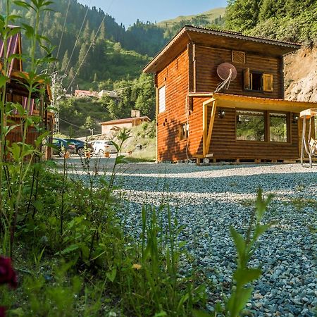 Ayder Selale Dag Evleri Exterior photo