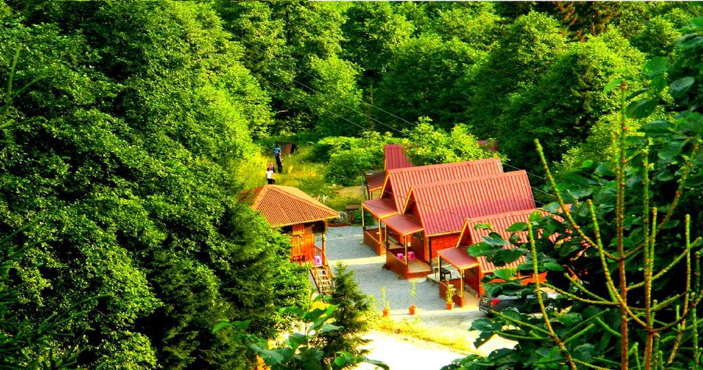 Ayder Selale Dag Evleri Room photo