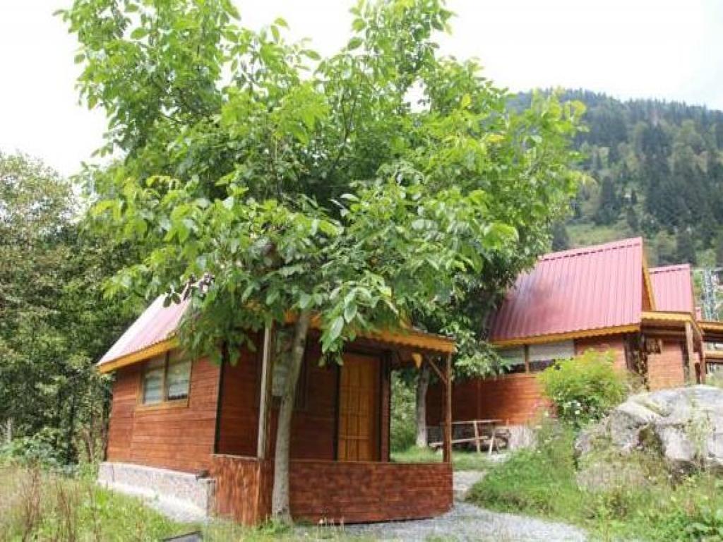 Ayder Selale Dag Evleri Bed & Breakfast Exterior photo